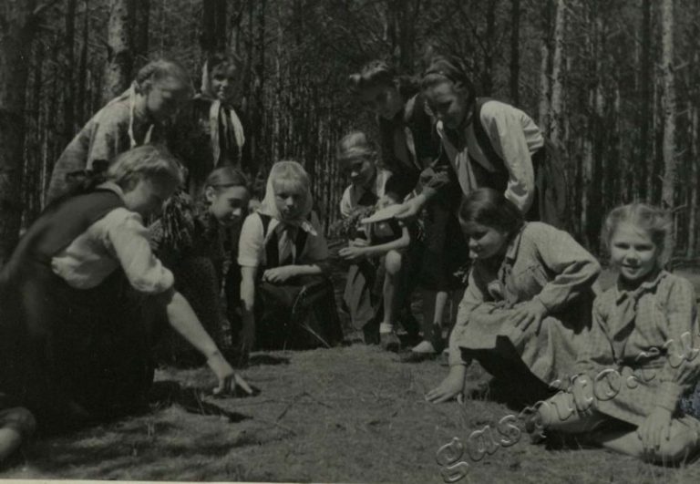 Подробнее о статье Ед.хр. 47, Ед.уч.33.