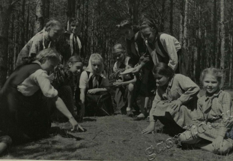 Подробнее о статье Ед.хр. 47, Ед.уч.33.