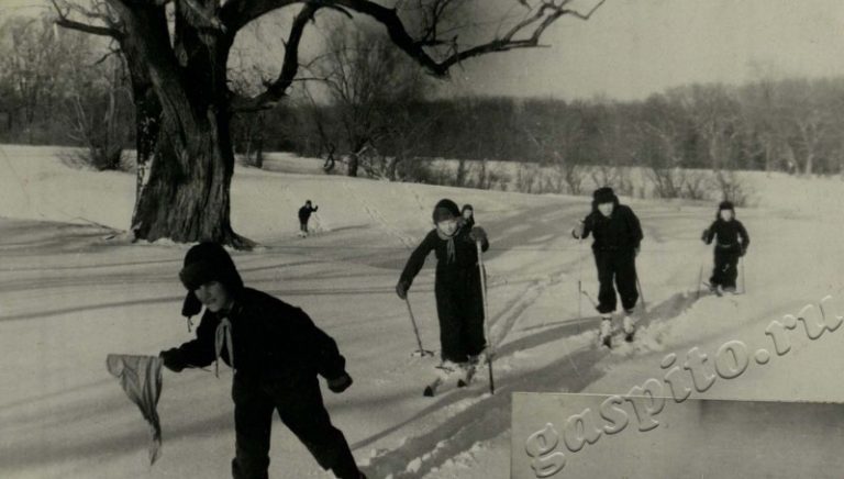 Подробнее о статье Ед.хр. 47, Ед.уч.40.