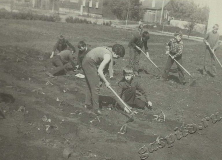 Подробнее о статье Ед.хр. 50, Ед.уч.3.