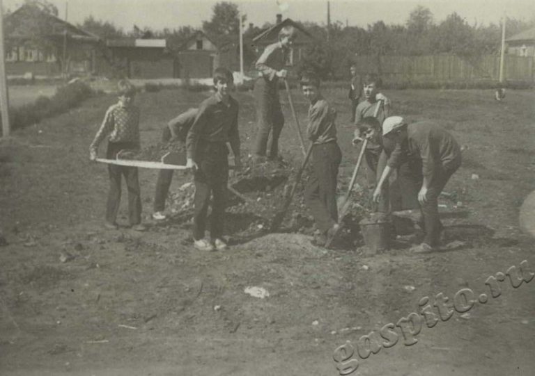 Подробнее о статье Ед.хр. 50, Ед.уч.5.