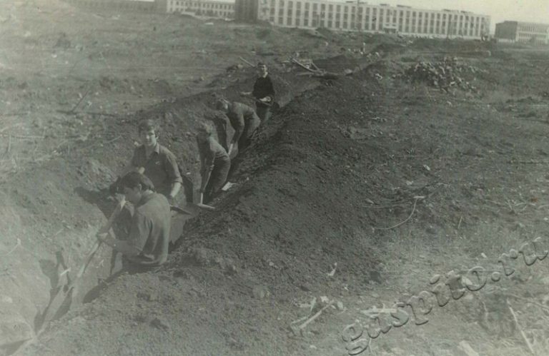 Подробнее о статье Ед.хр. 50, Ед.уч.8.