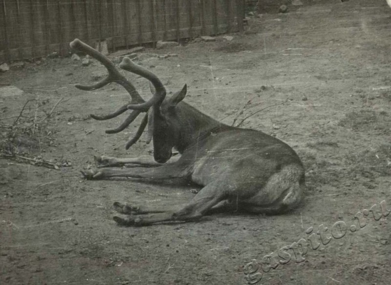 Подробнее о статье Ед.хр. 50, Ед.уч.20.