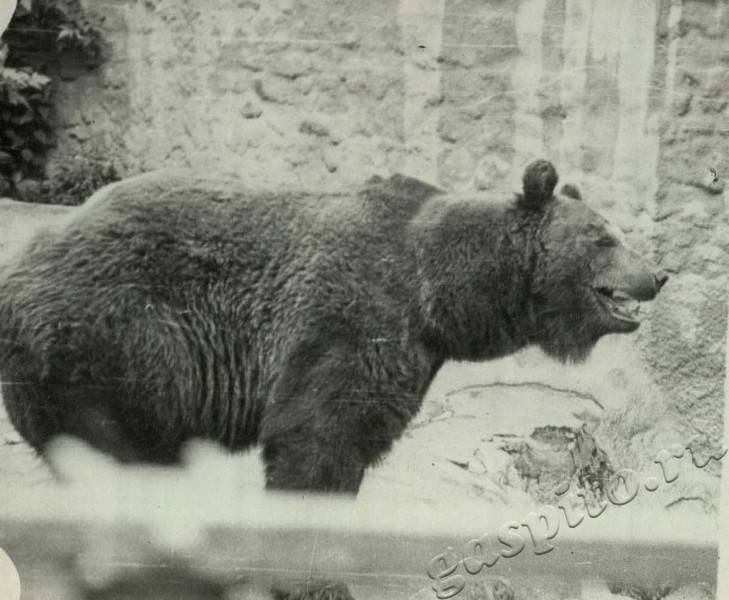 Подробнее о статье Ед.хр. 50, Ед.уч.22.