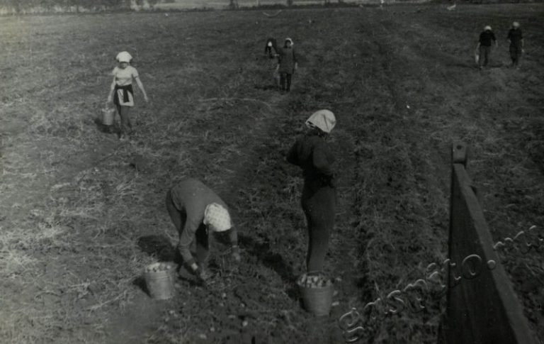 Подробнее о статье Ед.хр. 58, Ед.уч.6.