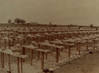 Подробнее о статье Ед.хр. 61, Ед.уч.25.