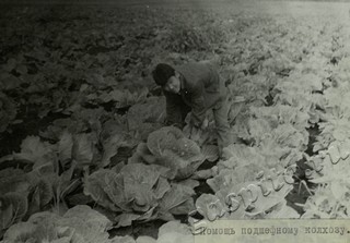 Подробнее о статье Ед.хр. 65, Ед.уч.8.