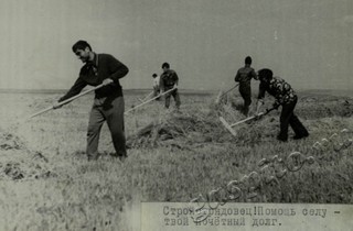 Подробнее о статье Ед.хр. 65, Ед.уч.16.