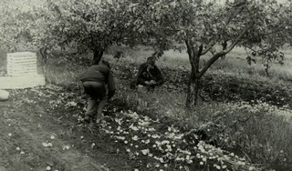 Подробнее о статье Ед.хр. 65, Ед.уч.23.