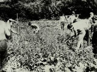 Подробнее о статье Ед.хр. 65, Ед.уч.31.