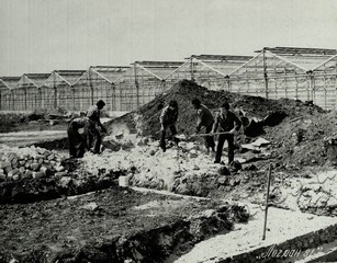 Подробнее о статье Ед.хр. 66, Ед.уч.5.