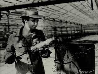 Подробнее о статье Ед.хр. 66, Ед.уч. 18.