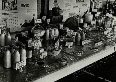 Подробнее о статье Ед.хр. 71, Ед.уч. 84.