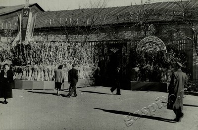 Подробнее о статье Ед.хр. 73, Ед.уч. 5.