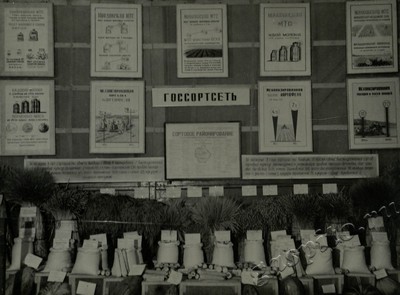 Подробнее о статье Ед.хр. 73, Ед.уч. 6.