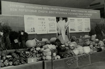 Подробнее о статье Ед.хр. 73, Ед.уч. 10.