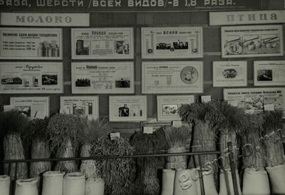 Подробнее о статье Ед.хр. 73, Ед.уч. 12.