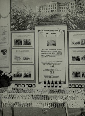 Подробнее о статье Ед.хр. 73, Ед.уч. 15.