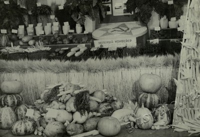 Подробнее о статье Ед.хр. 73, Ед.уч. 21.