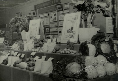 Подробнее о статье Ед.хр. 73, Ед.уч. 23.