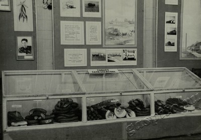 Подробнее о статье Ед.хр. 73, Ед.уч. 24.