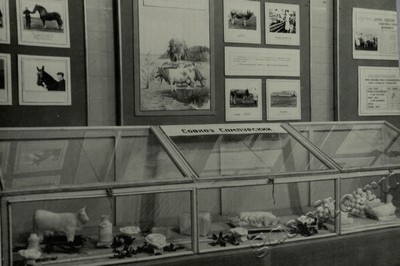 Подробнее о статье Ед.хр. 73, Ед.уч. 25.