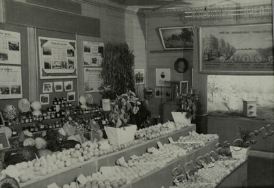 Подробнее о статье Ед.хр. 73, Ед.уч. 27.