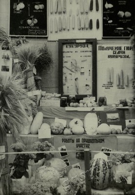 Подробнее о статье Ед.хр. 73, Ед.уч. 40.