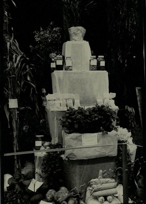 Подробнее о статье Ед.хр. 73, Ед.уч. 41.