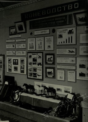 Подробнее о статье Ед.хр. 73, Ед.уч. 43.