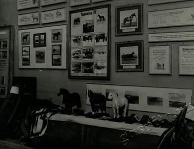 Подробнее о статье Ед.хр. 73, Ед.уч. 44.