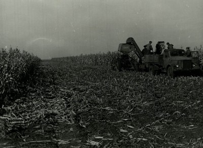 Подробнее о статье Ед.хр. 73, Ед.уч. 46.