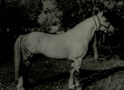 Подробнее о статье Ед.хр. 73, Ед.уч. 47.