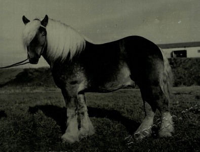 Подробнее о статье Ед.хр. 73, Ед.уч. 49.