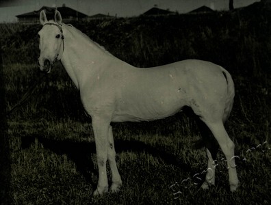 Подробнее о статье Ед.хр. 73, Ед.уч. 50.