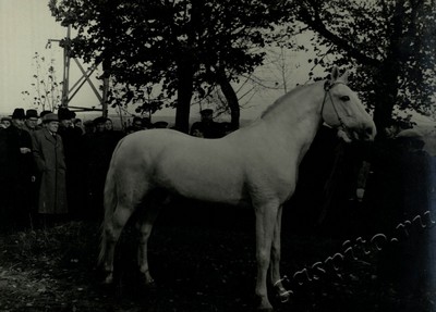 Подробнее о статье Ед.хр. 73, Ед.уч. 54.