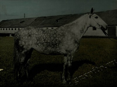 Подробнее о статье Ед.хр. 73, Ед.уч. 55.