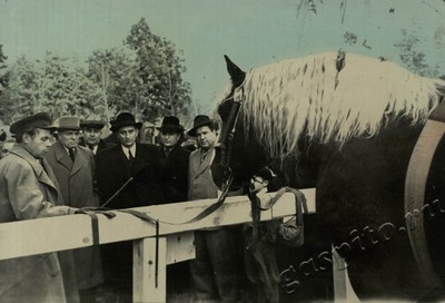 Подробнее о статье Ед.хр. 73, Ед.уч. 56.