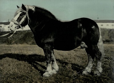Подробнее о статье Ед.хр. 73, Ед.уч. 58.