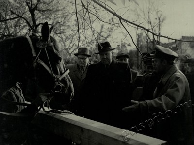 Подробнее о статье Ед.хр. 73, Ед.уч. 64.