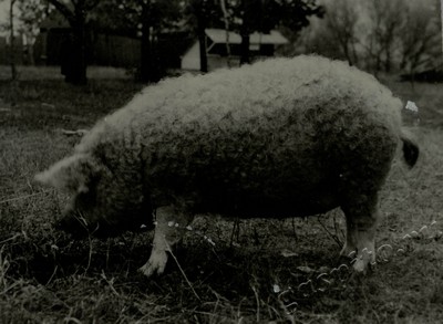 Подробнее о статье Ед.хр. 73, Ед.уч. 65.