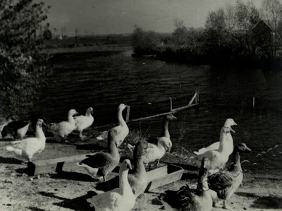 Подробнее о статье Ед.хр. 73, Ед.уч. 70.