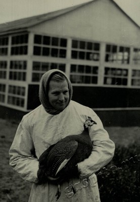 Подробнее о статье Ед.хр. 73, Ед.уч. 71.