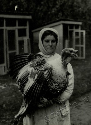 Подробнее о статье Ед.хр. 73, Ед.уч. 72.