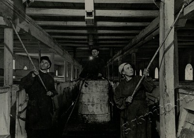 Подробнее о статье Ед.хр. 74, Ед.уч. 12.