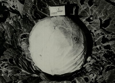 Подробнее о статье Ед.хр. 74, Ед.уч. 26.