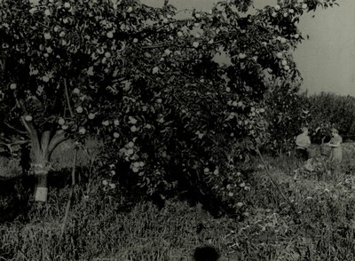 Подробнее о статье Ед.хр. 74, Ед.уч. 27.