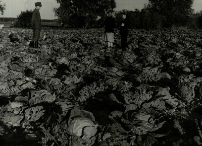 Подробнее о статье Ед.хр. 74, Ед.уч. 28.