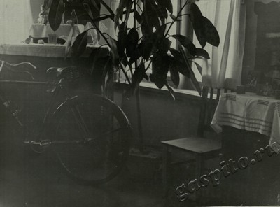 Подробнее о статье Ед.хр. 74, Ед.уч. 39.