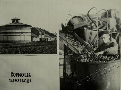 Подробнее о статье Ед.хр. 75, Л. 13.